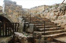 Private Tour to Jerash and Ajloun from Dead Sea