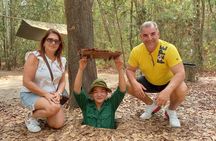 Premium Cu Chi Tunnels Tour Exploring Vietnam's History From HCM