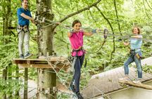 Tickets for Ropes Park Interlaken