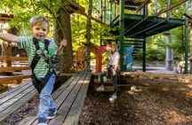 Tickets for Ropes Park Interlaken