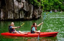 Ha Long Day Tour on Luxury Cruise with Buffet Lunch and Sunset party