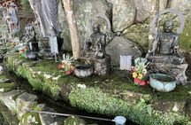 Miyajima Half-Day Trip Historical Walking Tour