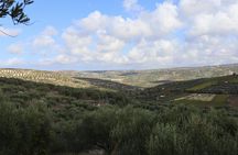 Visit a Family-Run Olive Mill with Food Tasting in Heraklion