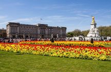 Westminster Abbey, Big Ben and Buckingham guided tour in London