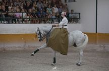 Andalusian horse flamenco show in Torremolinos