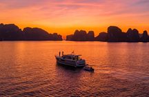 Full-Day Halong Bay, Surprising Cave and Titop Island Guided Tour