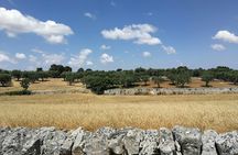 Trekking and dry stone wall lesson in the Valle d’Itria