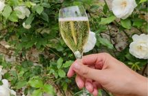 Champagne Day Trip from Paris with Lunch and 7 Tastings