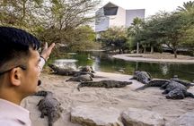 Dubai Crocodile Park Admission Ticket