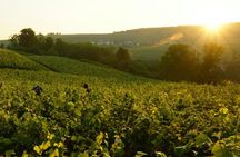 Champagne Day Trip from Paris with Lunch and 7 Tastings
