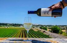 Wine Tasting Experience in Valle d'Itria