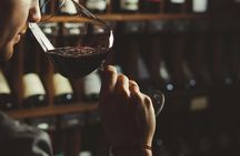 Wine Tasting Experience in Valle d'Itria