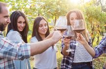 Wine Tasting Experience in Valle d'Itria