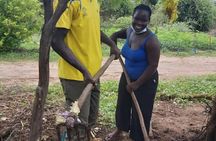 Full Day Tour at a Sustainable Farm from Somone with Lunch