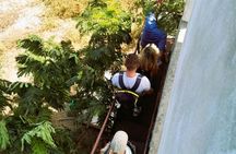 Full Day Tour at a Sustainable Farm from Somone with Lunch