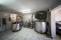 Fuerteventura Villages, Caves and Farm Tour with Lunch