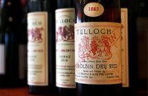 Tulloch Pokolbin Dry Red Shiraz Tasting with Charcuterie board