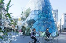 Eindhoven Highlights 2-Hour Bike Tour with Local Guide