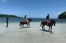 Horse Back Riding and Boston Jerk Centre Tour in Portland