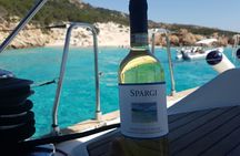 Full-Day Sailboat Tour in La Maddalena Archipelago from Palau