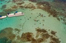 Stingray City Antigua Entrance Ticket