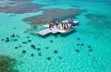 Stingray City Antigua Entrance Ticket
