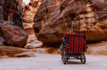 Private Petra day trip including Little Petra from Dead Sea