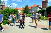 English Guided Tour to Wawel Castle Highlights
