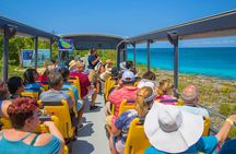 Open Top City Tour with Beach Break in Cozumel