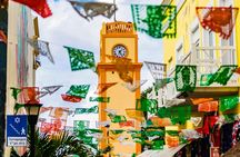 Caribbean Adventure with Hop-on Hop-off and Beach Break in Cozumel