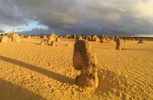 Pinnacles and Swan Valley Full-day Guided Tour