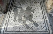 Pompeii Skip-the-Line Tickets with Audio Guide