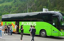 Roundtrip Transfer From Rome to Pompeii with Skip-The-Line Tickets