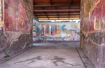 Pompeii Semi-Private Guided Tour with Skip-the-Line Entry Ticket