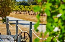 Pinnacles and Swan Valley Full-day Guided Tour