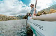 Douro Solar Boat Tour Experience with Wine Tasting