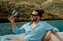 Douro Solar Boat Tour Experience with Wine Tasting