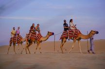 Dubai desert safari with dune bashing, sand boarding, BBQ dinner