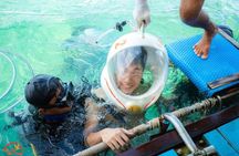 Full-Day Nha Trang Bay Exploration with 3 Islands Discovery