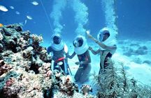 Full-Day Nha Trang Bay Exploration with Mud Bath Experience