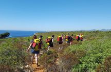 Sea Cave Adventure in Mallorca