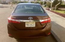 Private Transfer with Assistance from or to Cairo Airport