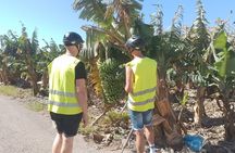 E-Bike Panoramic Tour of Southern Gran Canaria with Optional Tapas
