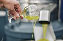 Visit a Family-Run Olive Mill with Food Tasting in Heraklion