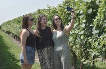 Chocolate, Wine and Niagara-on-the-Lake Tour from Toronto