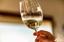 Visit to two wineries in La Rioja with pintxos from Vitoria