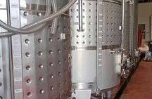 Half-day winery tour with wine tasting and tapas