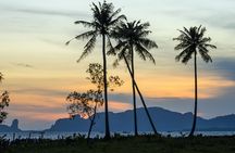 Mangrove private tour in Krabi by longtail boat