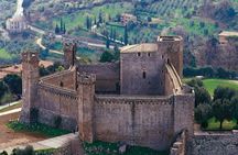 Montepulciano and Montalcino guided tour with wine tasting