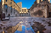 Barcelona gothic quarter private tour with optional visit of the Picasso Museum